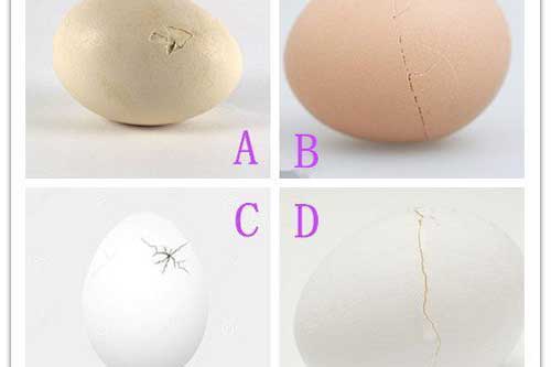 Trắc nghiệm: Bạn có phải chiến binh quật cường trên đường đời gian nan?