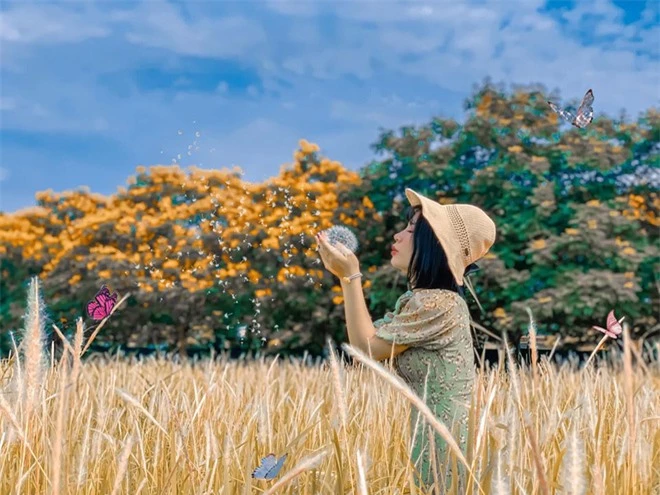 Nếu nhìn thấy nàng tiên cá trước tiên, đều đó phản ánh phẩm chất tuyệt vời gì ở bạn? - Ảnh 2.