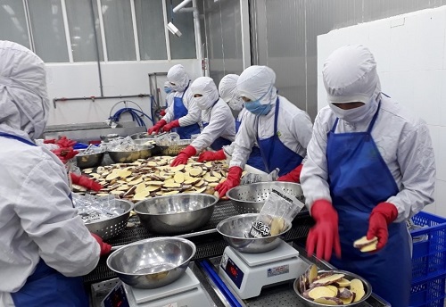 Lâm Đồng: Giảm thanh tra, kiểm tra doanh nghiệp do Covid-19