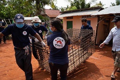 Four Paws đóng cửa một lò mổ cung cấp thịt chó lớn ở Campuchia