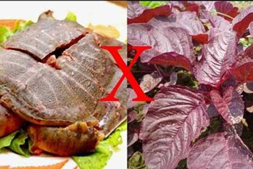 Nguyên tắc khi ăn rau dền ai cũng cần biết để khỏi mang bệnh vào người