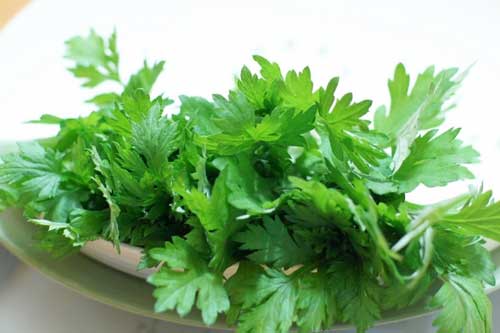 Bị rối loạn tiền đình cứ ăn 4 món từ ngải cứu, đau đầu đến mấy cũng khỏi