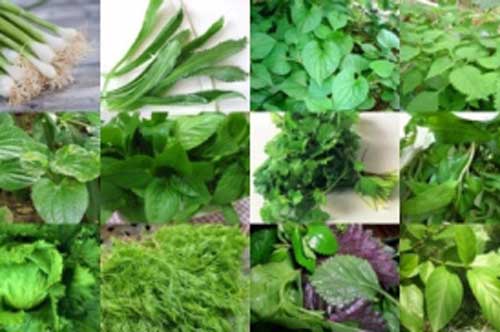 Những loại rau thơm ngon, nhiều chất dinh dưỡng nhưng bà bầu không nên ăn