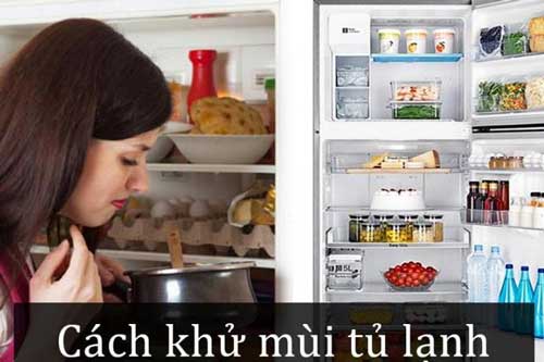 Cho một nhúm trà vào tủ lạnh, mùi hôi đến mấy cũng bay biến