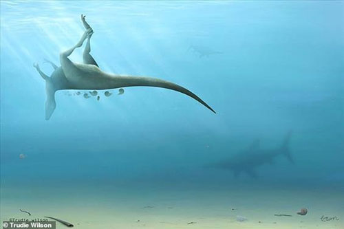 Phát hiện hóa thạch 115 triệu năm, nghi là ‘anh em họ’ của khủng long bạo chúa