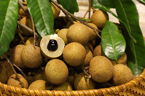 Bài thuốc chữa bệnh mất ngủ kinh niên cực đơn giản và hiệu quả từ quả nhãn