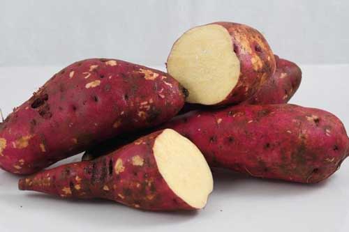 Thực phẩm tốt nhưng ăn khi đói dễ "biến" thành chất độc gây hại cho sức khỏe