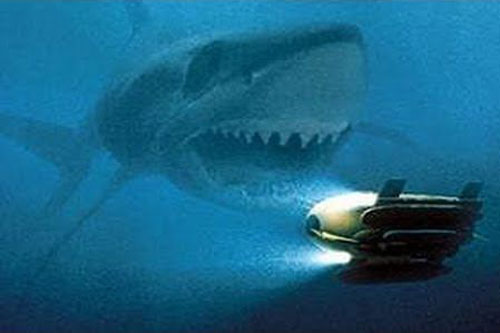 Khám phá về loài ‘quái vật đen’ huyền thoại, sinh vật còn đáng sợ hơn cả Megalodon
