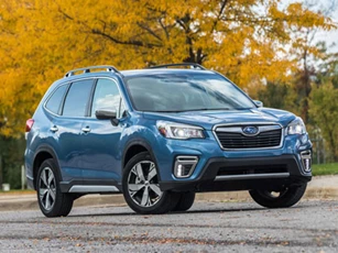 Subaru Forester sắp có thêm bản đặc biệt, tăng sức cạnh tranh Honda CR-V, Hyundai Tucson