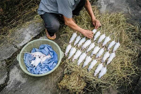 Được ăn món &#39;kinh dị&#39; của Việt Nam, phản ứng của phóng viên Mỹ khiến ai cũng bất ngờ - 2