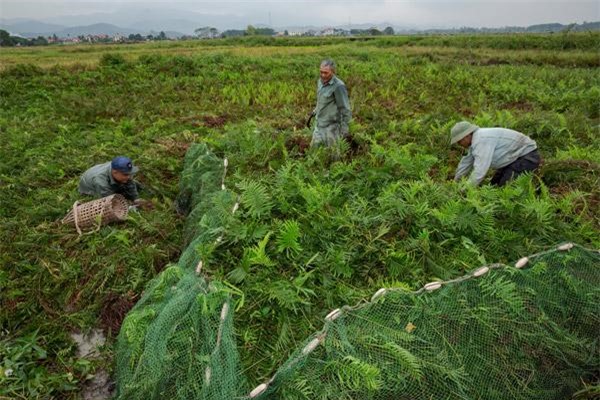 Được ăn món &#39;kinh dị&#39; của Việt Nam, phản ứng của phóng viên Mỹ khiến ai cũng bất ngờ - 4