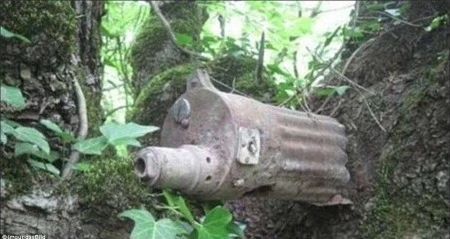 Một khẩu súng máy đã bị thân cây “nuốt” một nửa.