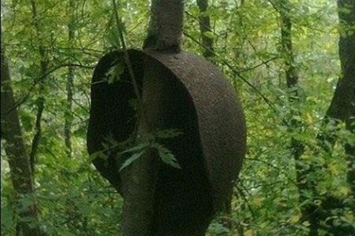 Kỳ lạ khu rừng “găm” vào mình những gì chiến tranh bỏ lại