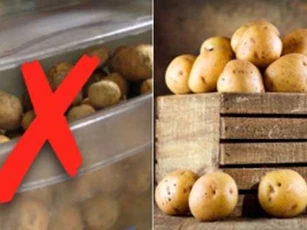 5 loại rau củ cho vào tủ lạnh càng nhanh hỏng, 90% bà nội trợ vẫn mắc sai lầm này