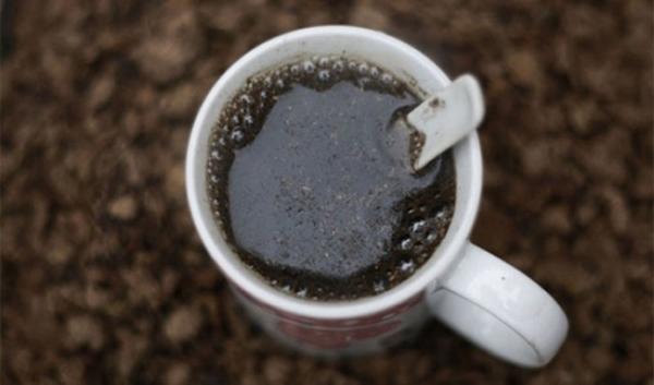 Kỳ lạ cả làng chữa bệnh ung thư bằng thứ "kinh dị" nhất thế giới