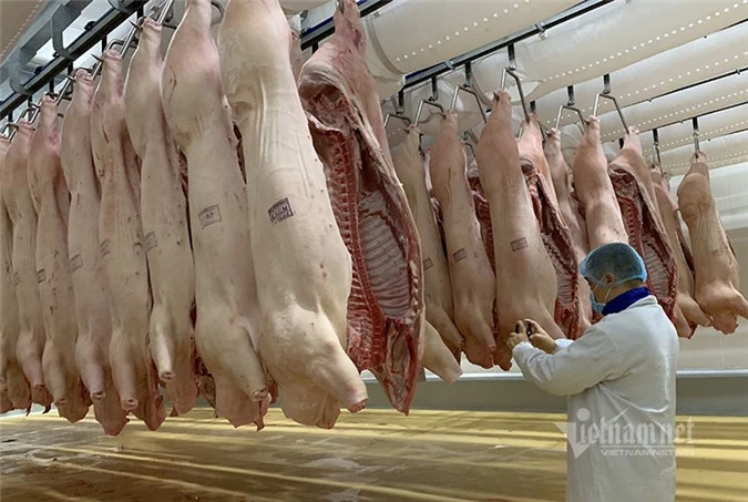 Giá thịt lợn giảm mạnh, bán 'không lấy lãi' lo đẩy hàng sớm