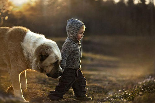 Hình ảnh “gây sốt” về cuộc sống thường nhật của hai em nhỏ