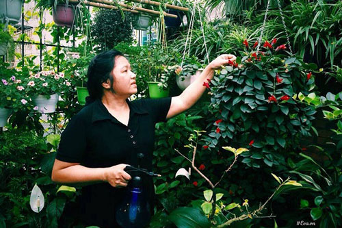 Cô giáo Hà Nội mách cách làm “nước thần” diệt sâu bọ, đuổi muỗi, lau nhà,... cực tốt