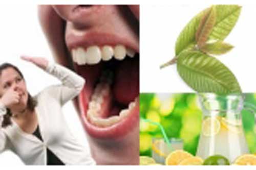 Hết hôi miệng, sâu răng trong vòng "một nốt nhạc" nhờ nguyên liệu cực rẻ, cực dễ kiếm này