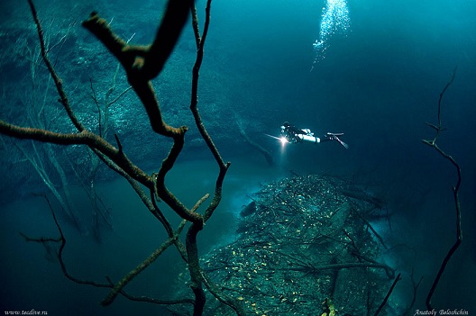 Vẻ đẹp kỳ bí của dòng sông ngầm đẹp nhất thế giới ở Mexico