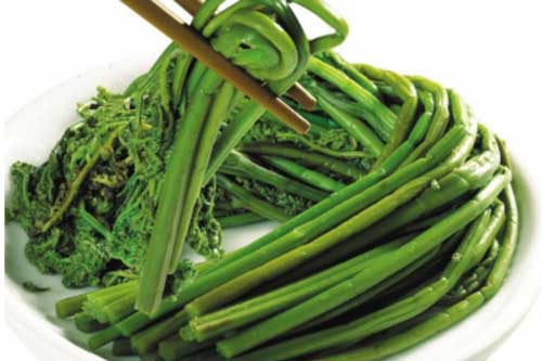 Khỏe mạnh và sống lâu hơn nếu như bạn biết tác dụng của loài cây quen thuộc này