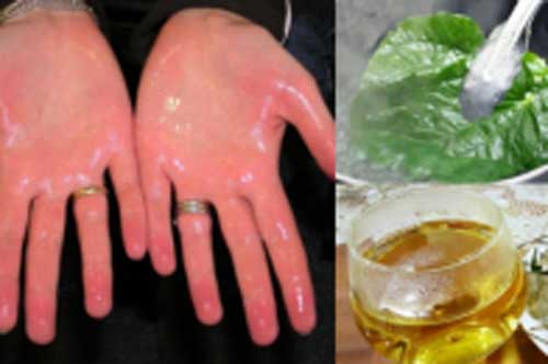 Ngâm chân tay bằng lá lốt giúp "đánh bay" nhiều bệnh nguy hiểm, cơ thể khỏe thêm mỗi ngày