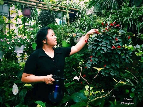 Cô giáo Hà Nội mách cách làm “nước thần” diệt sâu bọ, đuổi muỗi, lau nhà,... cực tốt - 10