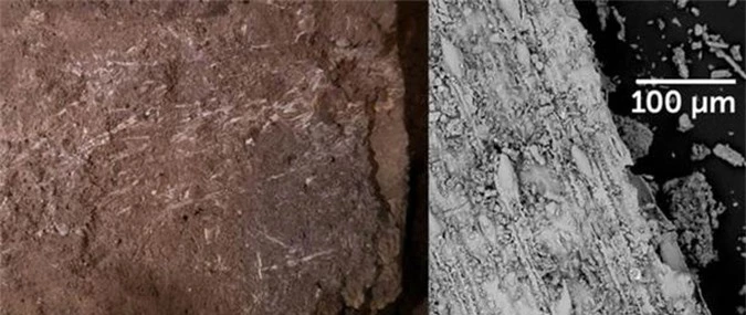 Phát hiện chốn chăn gối xưa nhất thế giới, đầy sinh vật tuyệt chủng bao vây - Ảnh 3.