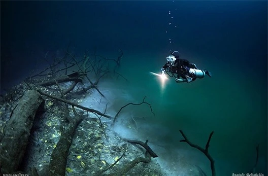 Vẻ đẹp kỳ bí của dòng sông ngầm đẹp nhất thế giới ở Mexico - Ảnh 4.