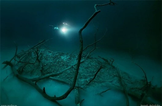 Vẻ đẹp kỳ bí của dòng sông ngầm đẹp nhất thế giới ở Mexico - Ảnh 5.