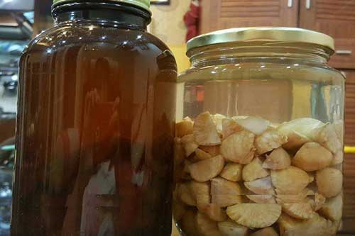 Bị táo bón, dạ dày hãy tận dụng 5 bài thuốc quý từ các bộ phận của cây cau là khỏi tiệt