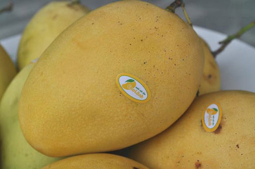 Nhức nhối về nguồn gốc nông sản xuất khẩu