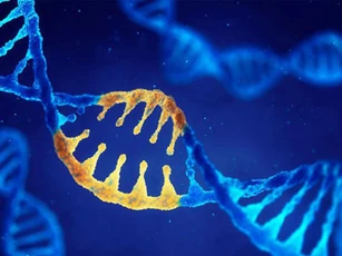 Phát hiện hơn 500 gen trong cơ thể có liên quan đến ung thư