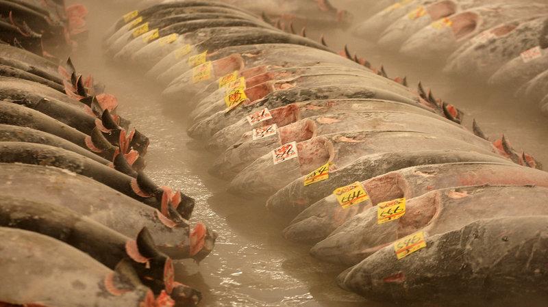 Người Nhật vẫn vô tư ăn đồ sống không lo giun sán nhờ 4 mẹo cực đơn giản này