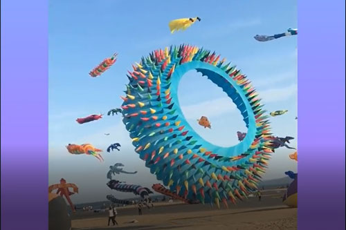 CLIP: Mãn nhãn với những khoảnh khắc triệu view trên mạng xã hội TikTok