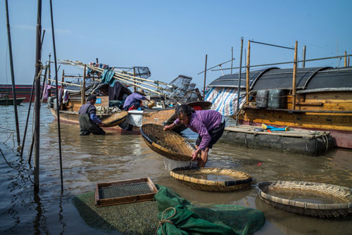 Bộ tộc cổ bị mai một, cuộc sống lênh đênh