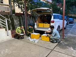 Lạng Sơn: Tạm giữ 3.300 chiếc khung xương điện thoại di động Trung Quốc 