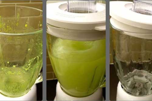 Mẹo hay rửa sạch máy xay sinh tố trong 1 phút