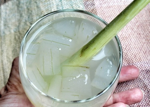 Cách nấu nước nha đam ngon ngọt, không lo đắng nhớt mà còn trẻ hóa da hiệu quả