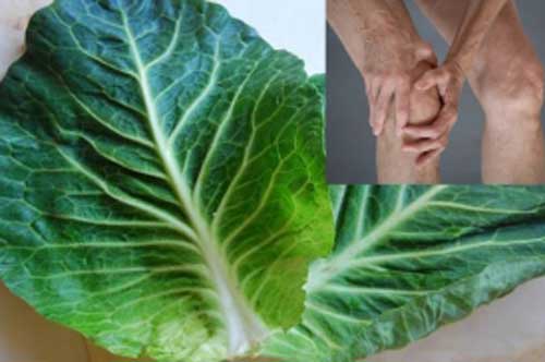 5 tác dụng chữa bệnh tuyệt vời của bắp cải