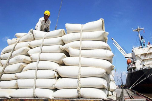 80.000 tấn gạo miễn thuế vào EU được phân bổ hạn ngạch ra sao?