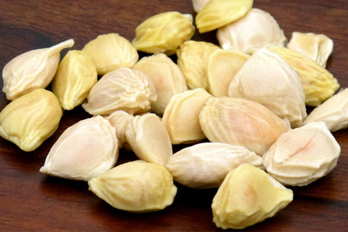 Bất ngờ với công dụng chữa bệnh của hạt bưởi