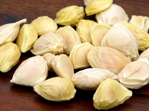 Bất ngờ với công dụng chữa bệnh của hạt bưởi