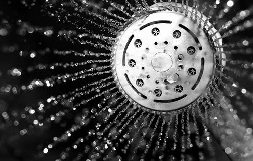 Dùng vòi hoa sen mà không biết điều này thì chỉ rước bệnh vào người