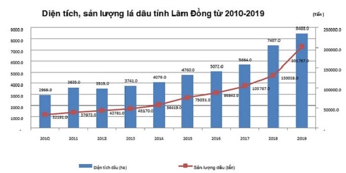 Diện tích, sản lượng lá dâu tỉnh Lâm Đồng từ 2010-2019.