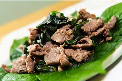 Món ăn, bài thuốc chữa đau lưng, nhức mỏi