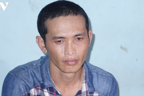 An Giang: Đang trốn truy nã vẫn đi nhổ trộm mai cảnh để bán