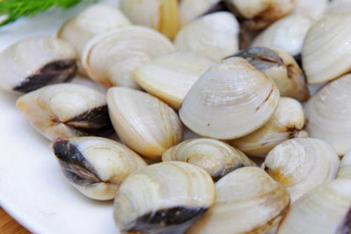 Mua ngao, thấy có 2 dấu hiệu này chọn ngay lập tức, ngao căng mọng và nhiều thịt