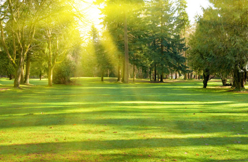 Đổi mùa khiến chúng ta nhìn thấy các màu sắc khác nhau