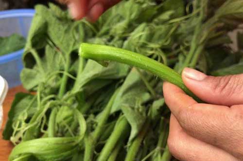 Mách chị em mẹo tước ngọn bí nhanh bất bại, không còn xơ làm món gì cũng ngon